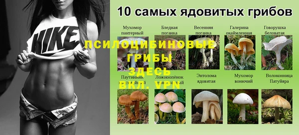 Альфа ПВП Волосово